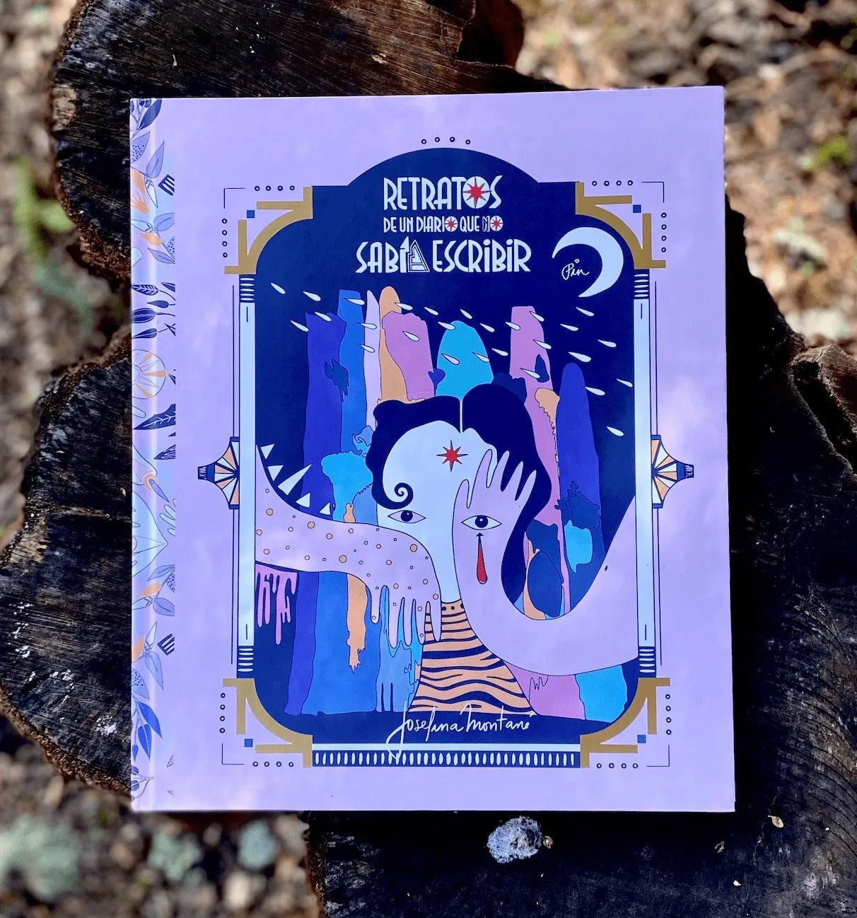 Libro Retratos de un diario que no sabía escribir por Josefina Montané - Baúl de Ayün