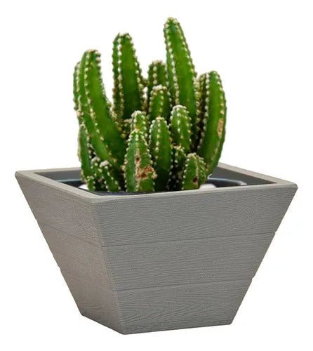 Macetero Decorativo De Plastico Estilo Moderno - Baúl de Ayün