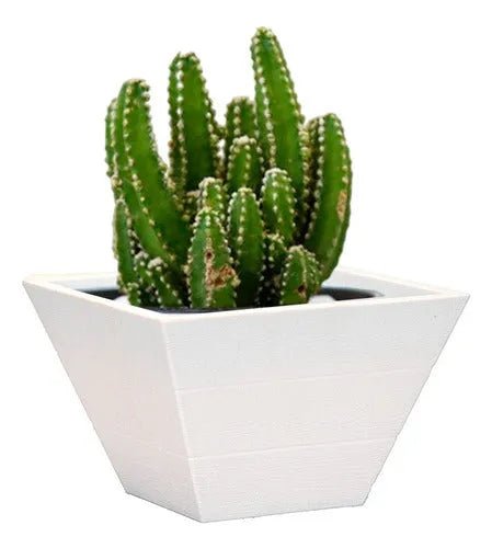 Macetero Decorativo De Plastico Estilo Moderno - Baúl de Ayün