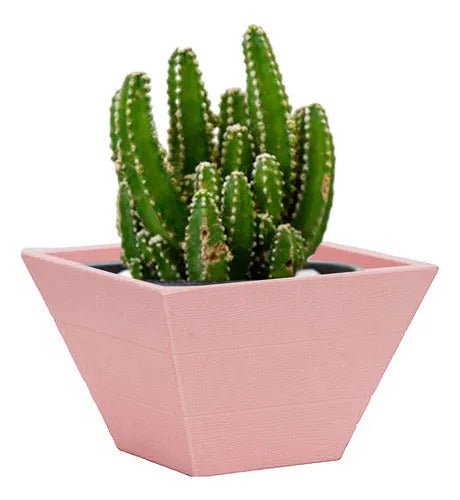 Macetero Decorativo De Plastico Estilo Moderno - Baúl de Ayün