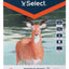 Block Papel Acuarela A3 12 Hojas 300 Gsm Alta Calidad