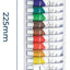 Pintura Acuarela 12 Colores Surtidos Pomos 12ml