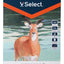 Block Papel Acuarela A4 12 Hojas 300 Gsm Alta Calidad