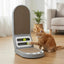 Rascador Vertical Interactivo Para Gatos Con Pelotas