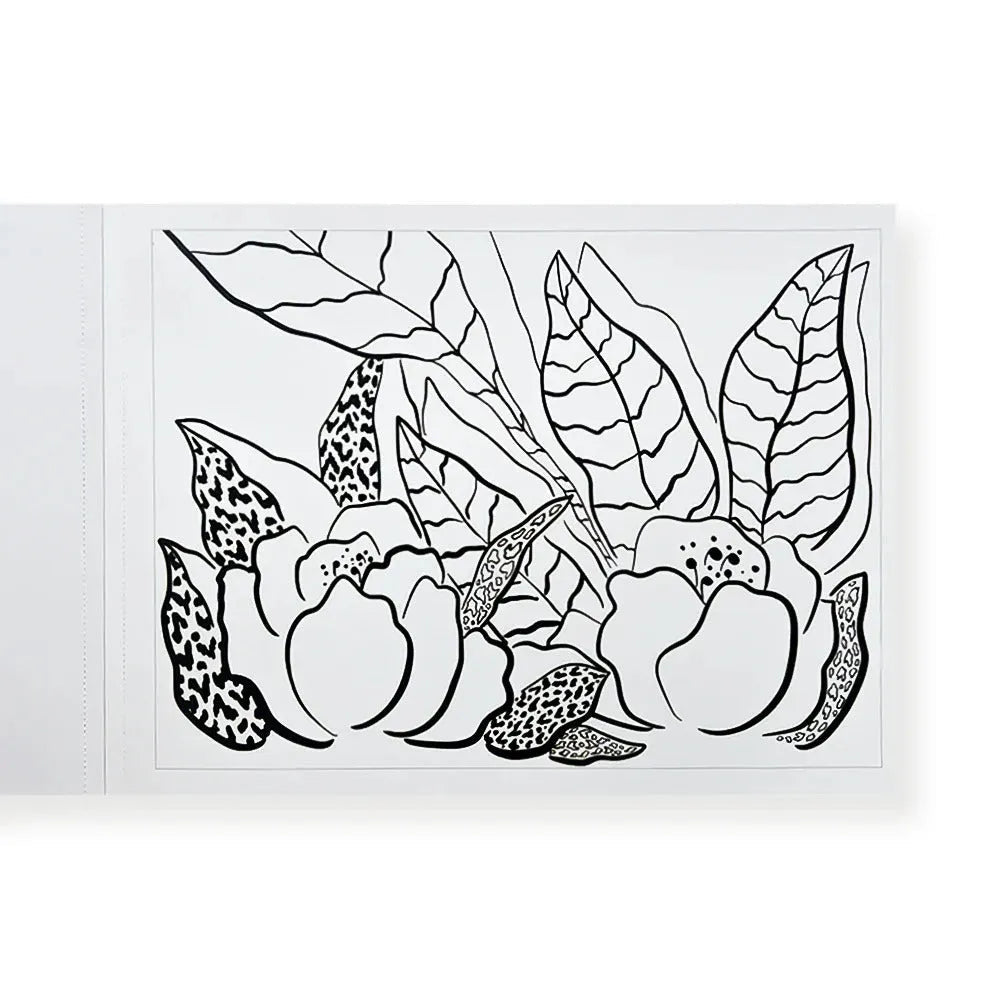Libro para colorear Murales Por Trini Guzmán - Baúl de Ayün
