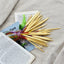Set Palillos Circulares Bambu 36 Pares 40 Y 80cm Largo Total - Baúl de Ayün
